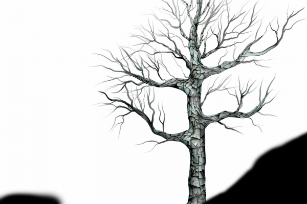 Creation of Foggy landscape: Step 5
